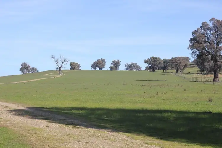 Fourth view of Homely rural property listing, Kanimbla Hume Highway, Tarcutta NSW 2652