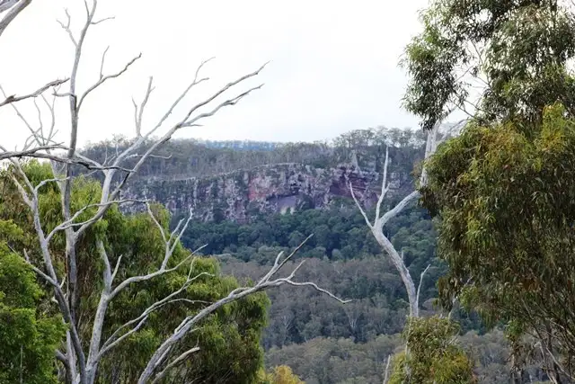 Fifth view of Homely rural property listing, 309 Upper Emu Creek Road, Emu Vale QLD 4371