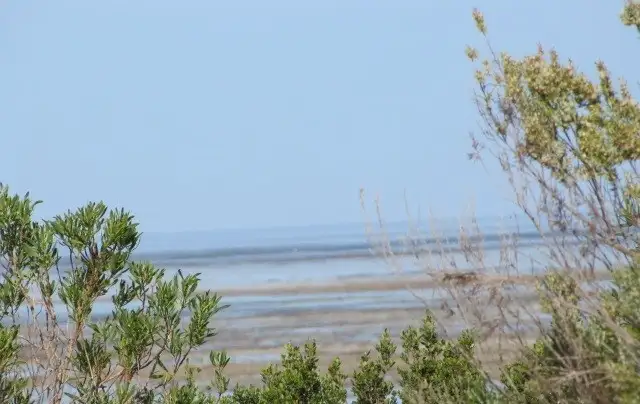 Main view of Homely land listing, 53 The Esplanade, Thompson Beach SA 5501