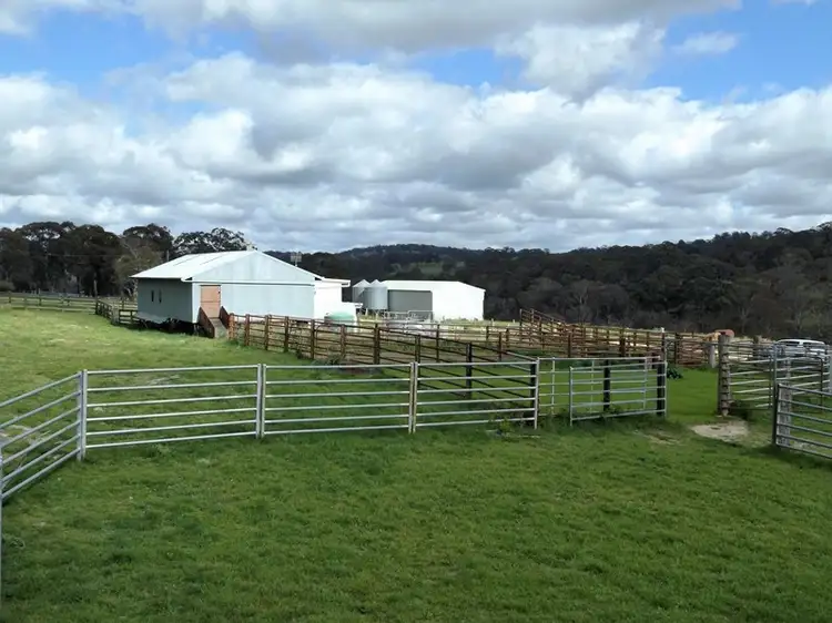 Fifth view of Homely rural property listing, 2110 Shannon Vale Road, Glen Innes NSW 2370
