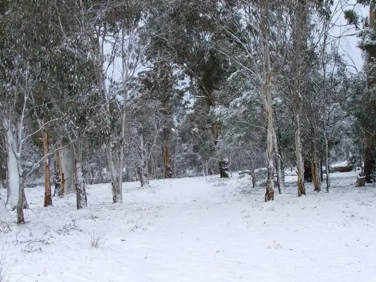 Fourth view of Homely rural property listing, 867 Campbells River Road, Black Springs NSW 2787