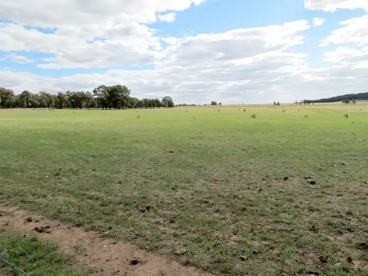 Second view of Homely rural property listing, 60 Springdam Road, Temora NSW 2666