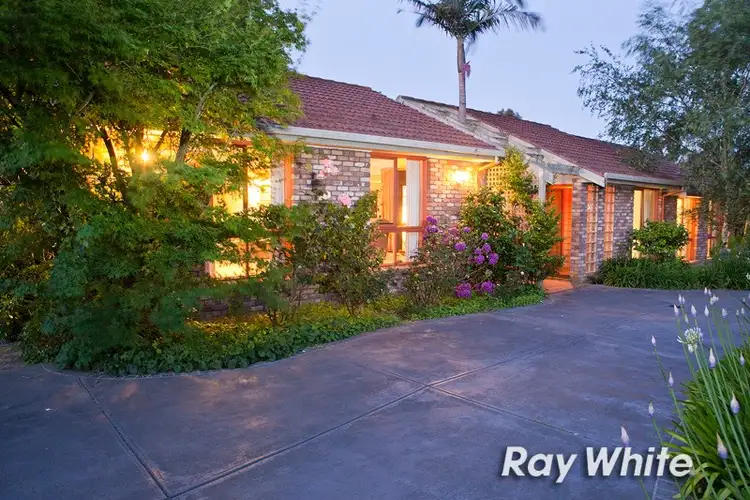 Main view of Homely house listing, 19 Yarralumla Drive, Langwarrin VIC 3910