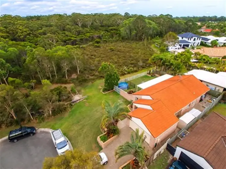 Main view of Homely house listing, 4 Tilapia Court, Mountain Creek QLD 4557