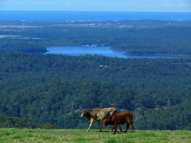 223 Hovard Road, Bald Knob QLD 4552
