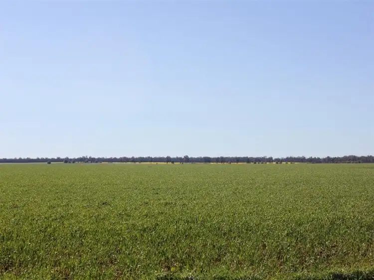 Third view of Homely rural property listing, 2179 Methul Road, Walleroobie NSW 2665