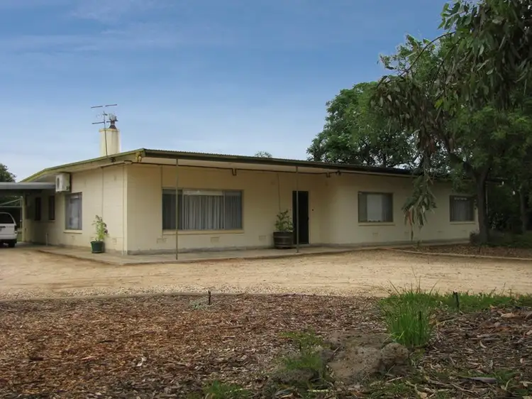 Main view of Homely house listing, 16 Anderson Road, Loxton North SA 5333