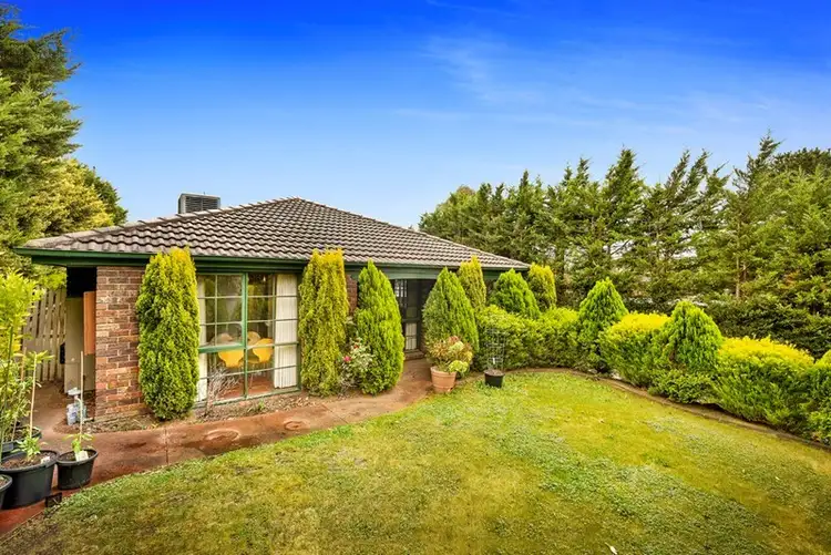 Fourth view of Homely house listing, 11 Pine Lodge Court, Templestowe VIC 3106