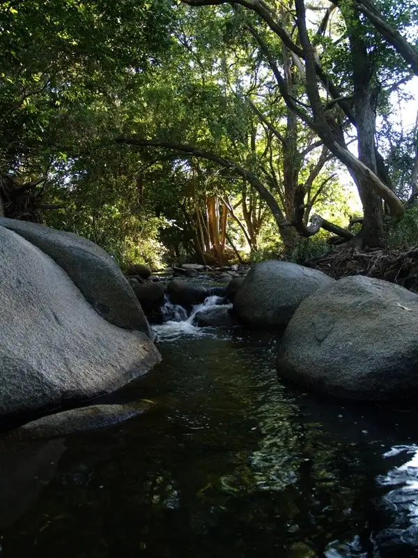Fourth view of Homely land listing, 699 Mount Glorious Road, Highvale QLD 4520
