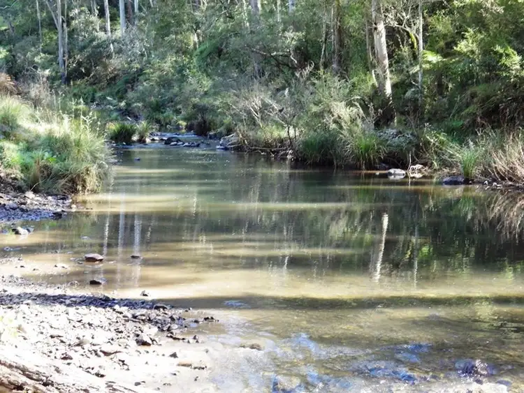 Fifth view of Homely rural property listing, 302 Cedar Log Road, Dorrigo NSW 2453