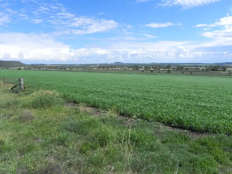 Main view of Homely rural property listing, 0 Wyangapinni Road, Stoneleigh, Pittsworth QLD 4356
