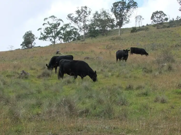 Third view of Homely rural property listing, Lot 7 Palmers Oakey Road, Lithgow NSW 2790
