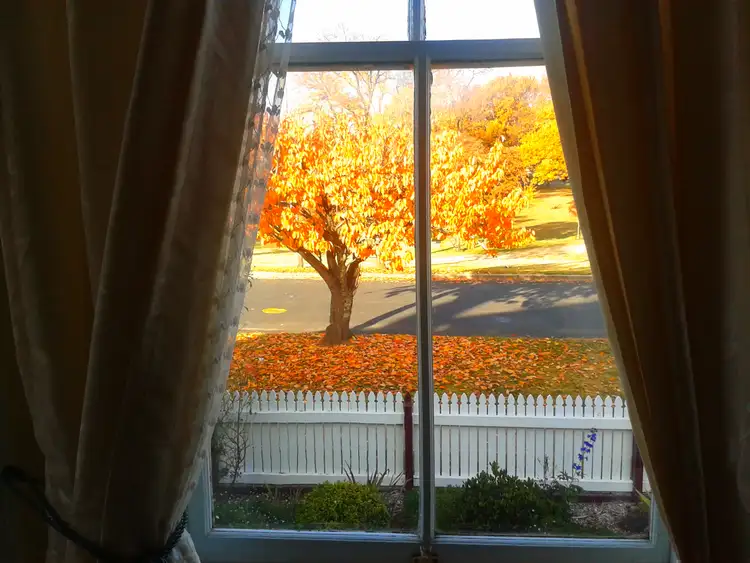 Fifth view of Homely house listing, 148 West, Glen Innes NSW 2370