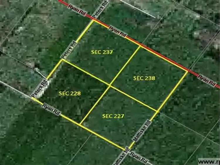 Main view of Homely rural property listing, Sec 228 Peters Road, Freeling SA 5372