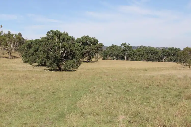 Second view of Homely rural property listing, Lot 2 Kildare Road, Tenterfield NSW 2372