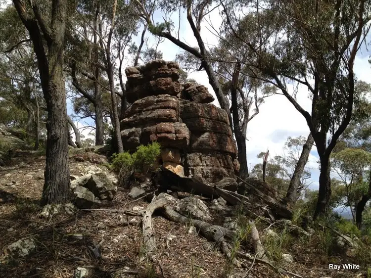 Fourth view of Homely rural property listing, 6045 Nerriga Road, Nerriga NSW 2622