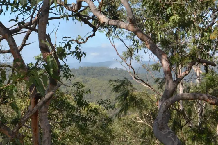 Second view of Homely rural property listing, 147 Andrews Road, Laguna NSW 2325