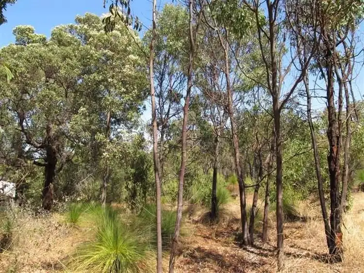 Sixth view of Homely house listing, 41 Padbury Road, Darlington WA 6070