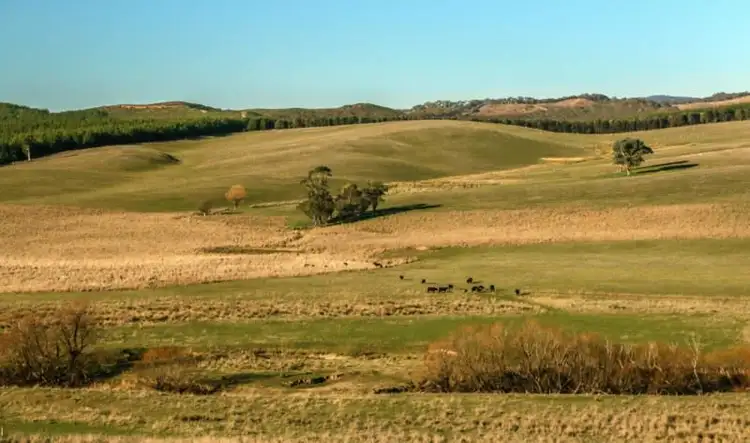 Sixth view of Homely rural property listing, 28 Bob's Creek Road, Carabost NSW 2650