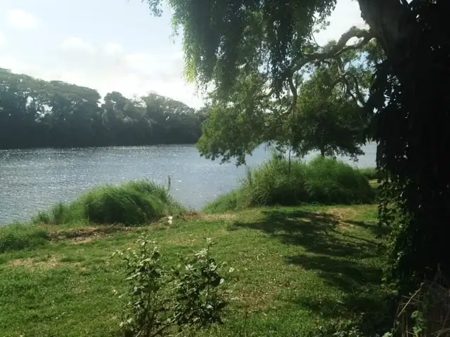 Seventh view of Homely house listing, 120 Eddleston Drive, Cordelia QLD 4850