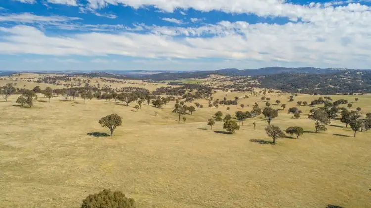Third view of Homely rural property listing, Bellbrook 885 Warrane Road, Armidale NSW 2350