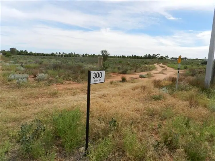 Sixth view of Homely rural property listing, 300 Caddy Road, Barmera SA 5345