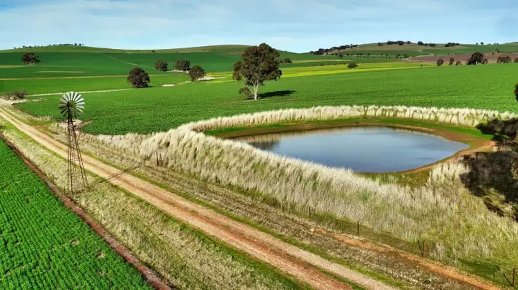 Main view of Homely rural property listing, "Allens" 304 Calcannia Road, Clare SA 5453