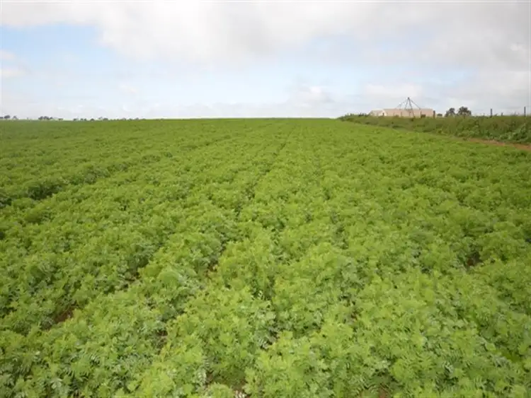 Third view of Homely rural property listing, Various Secs Balaklava - Pt Wakefield Road, Bowmans SA 5550