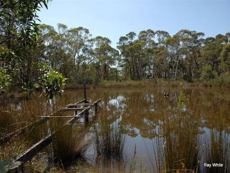 Third view of Homely rural property listing, 164 Half Moon Road, Braidwood NSW 2622