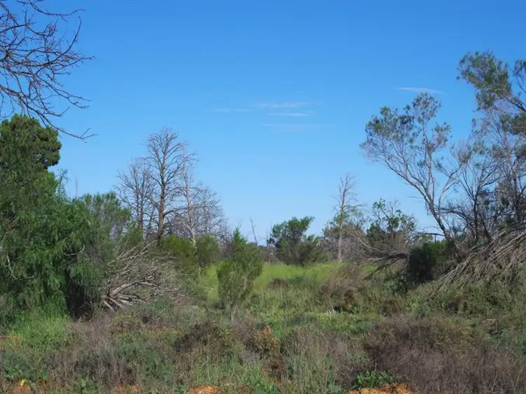 Second view of Homely land listing, Lot 67 Swan Street, Renmark SA 5341