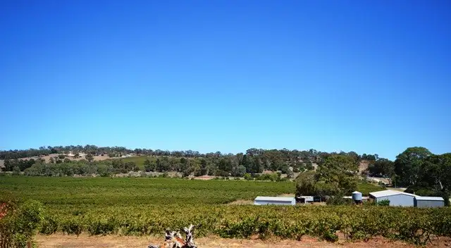 Main view of Homely rural property listing, 52 Kimber Road, Clare SA 5453