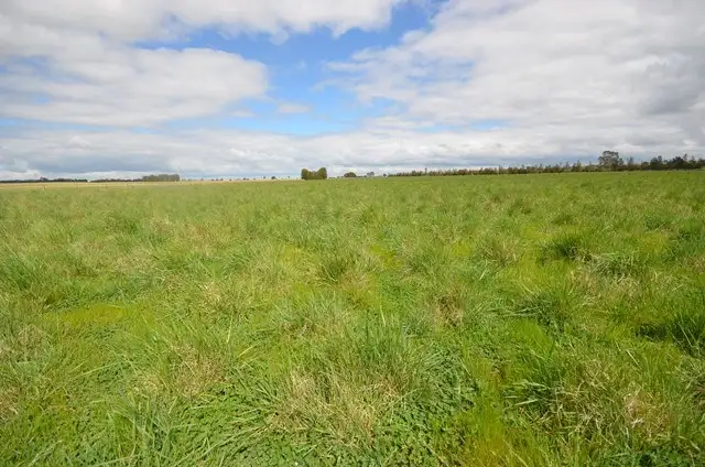Third view of Homely rural property listing, "Baileys" Rd 137, Farrell Flat SA 5416