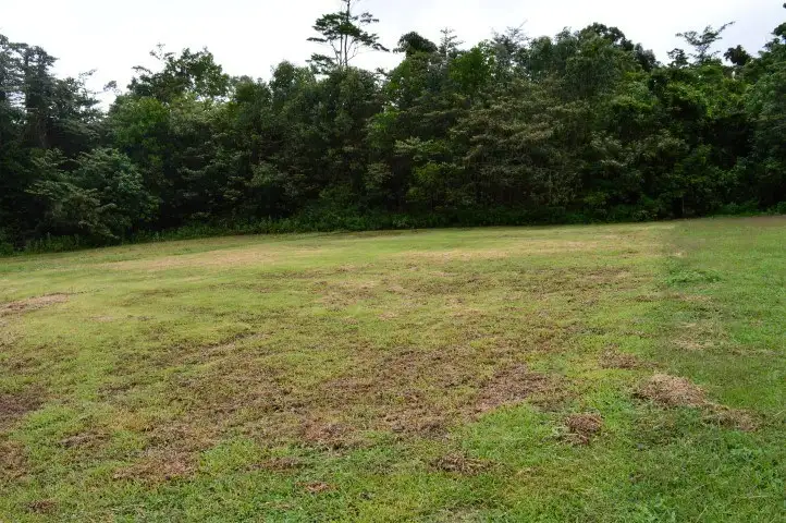 Fourth view of Homely land listing, Lot 3 Campbell Terrace, South Mission QLD 4852