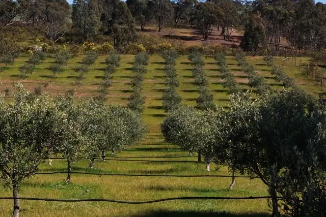 Fourth view of Homely rural property listing, 111 Old Heathcote Road, Heathcote VIC 3523