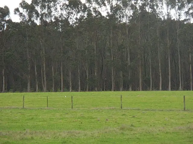 Sixth view of Homely land listing, Lot 2809 Eulup-Manurup Road, Mount Barker WA 6324