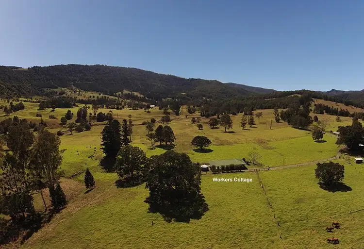 Fifth view of Homely rural property listing, 329 Pocket Road, Numinbah Valley QLD 4211