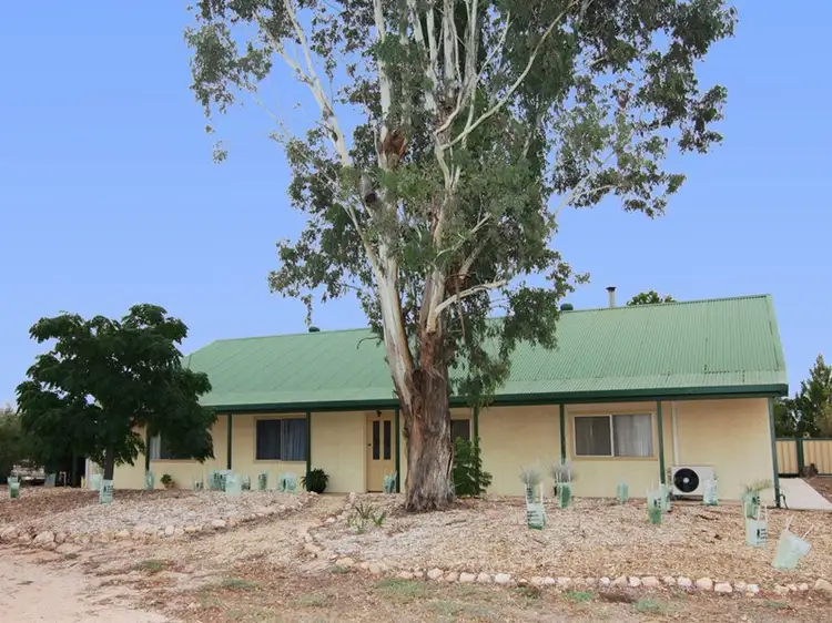 33 Whateley Road, Loveday SA 5345
