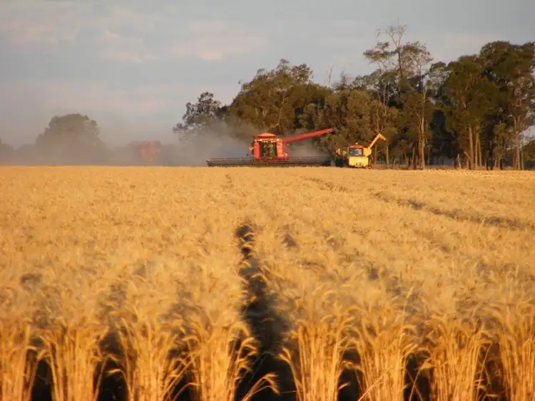 Second view of Homely rural property listing, Address available on request