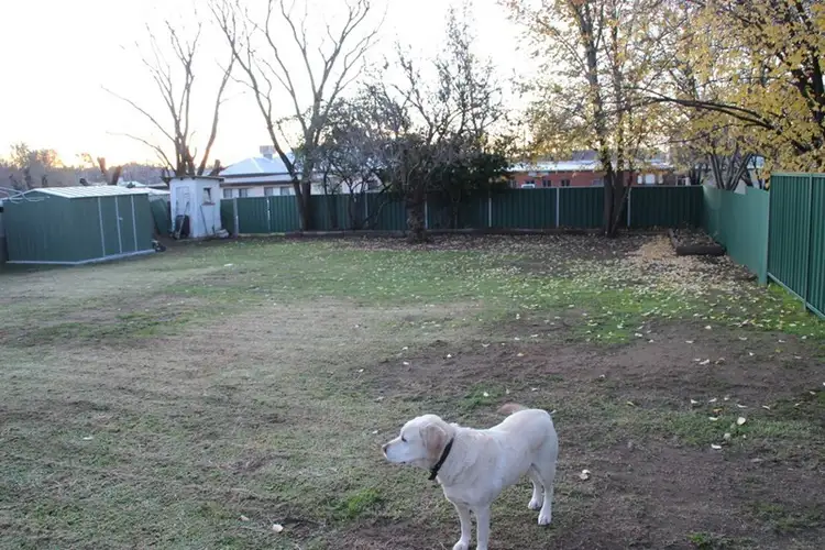 Fourth view of Homely house listing, 41 KING Street, Coonabarabran NSW 2357