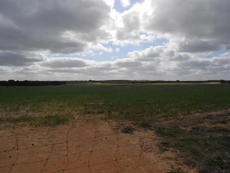 Fifth view of Homely rural property listing, Sec. 118 Kulkami - Mulpata Road, Lameroo SA 5302