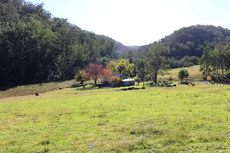 Main view of Homely rural property listing, 295 Pademelon Road, Laguna NSW 2325