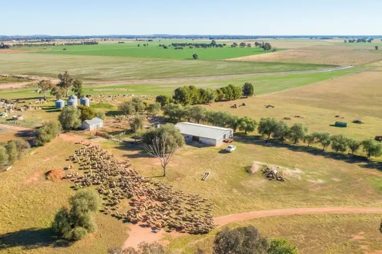 Fourth view of Homely rural property listing, 7853 The Escort Way, Eugowra NSW 2806