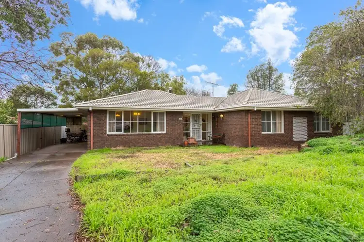 Main view of Homely house listing, 3 Barossa Court, Lyndoch SA 5351