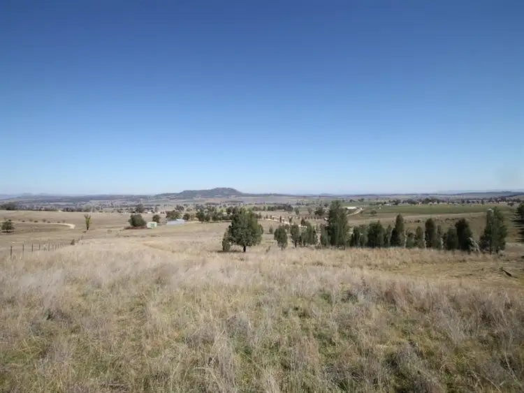 Second view of Homely rural property listing, 116 Callaghans Lane, Quirindi NSW 2343
