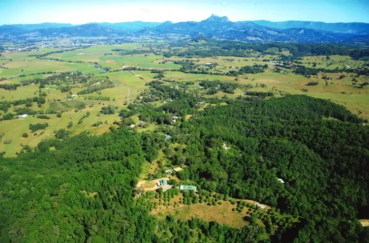 Second view of Homely rural property listing, 1151 Urliup Road, Urliup NSW 2484