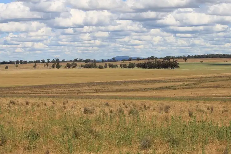 Sixth view of Homely rural property listing, 1 "Carramar", Forbes NSW 2871