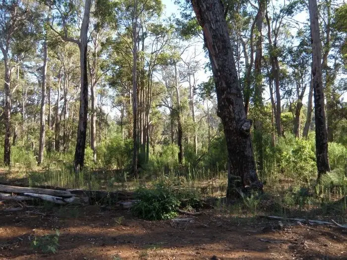 Second view of Homely rural property listing, Lot 14 Orchid Place, Nannup WA 6275