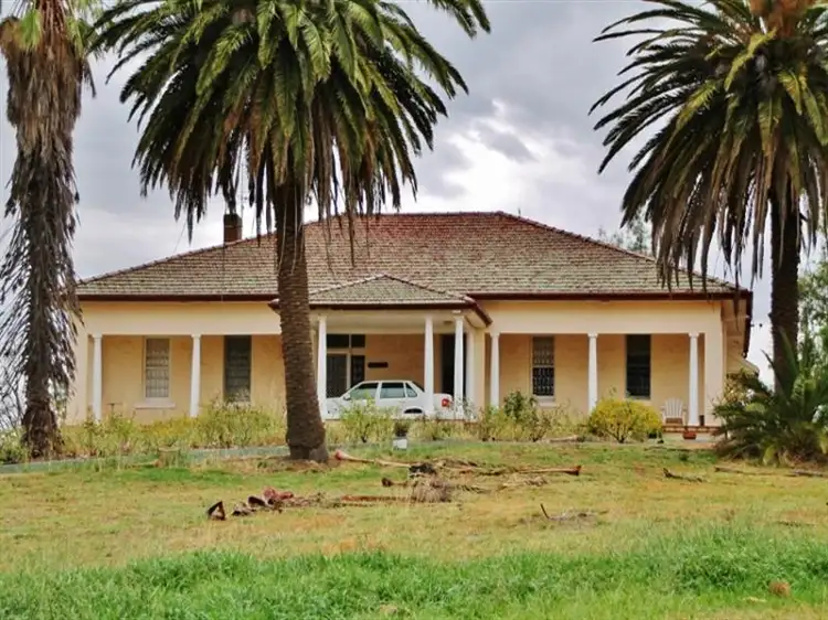 524 Olympic Hwy North, Young NSW 2594