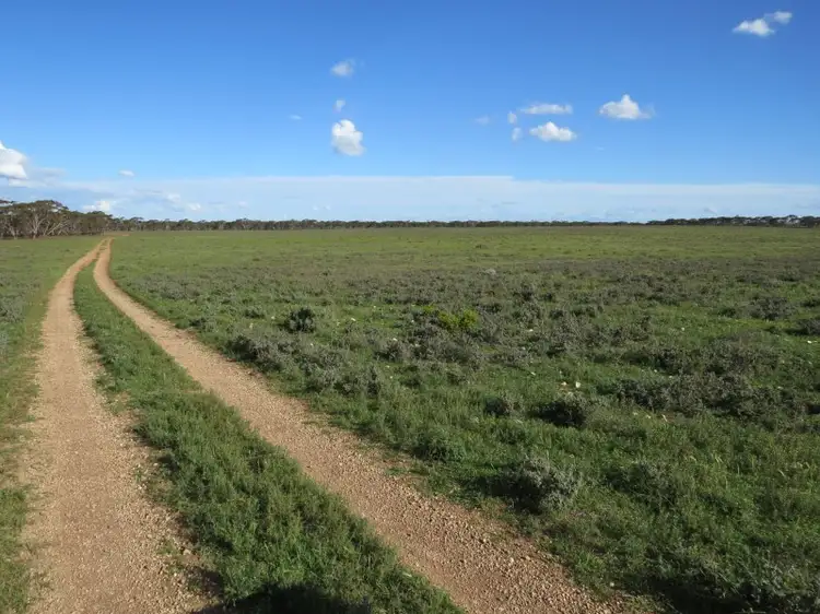 Seventh view of Homely rural property listing, "John's" Stock Route Road, Sutherlands SA 5374