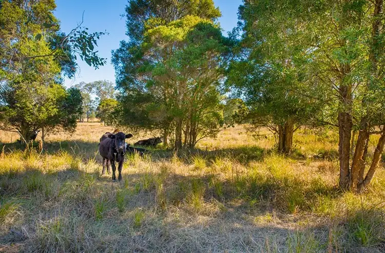 Fourth view of Homely land listing, 734 Bulga Road, Wingham NSW 2429